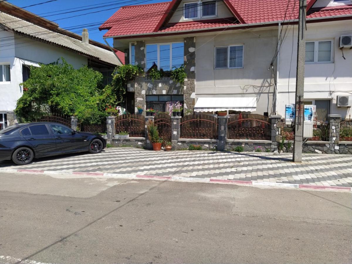 Vila Traian Si Teodora Костинешти Экстерьер фото