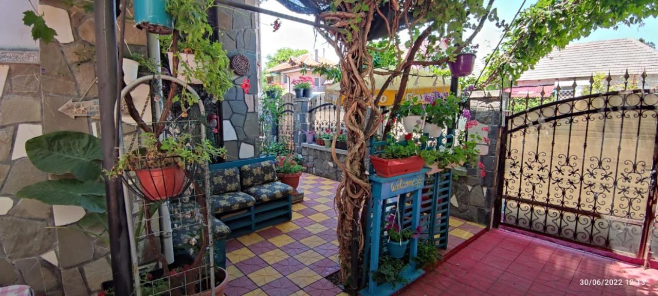 Vila Traian Si Teodora Костинешти Экстерьер фото