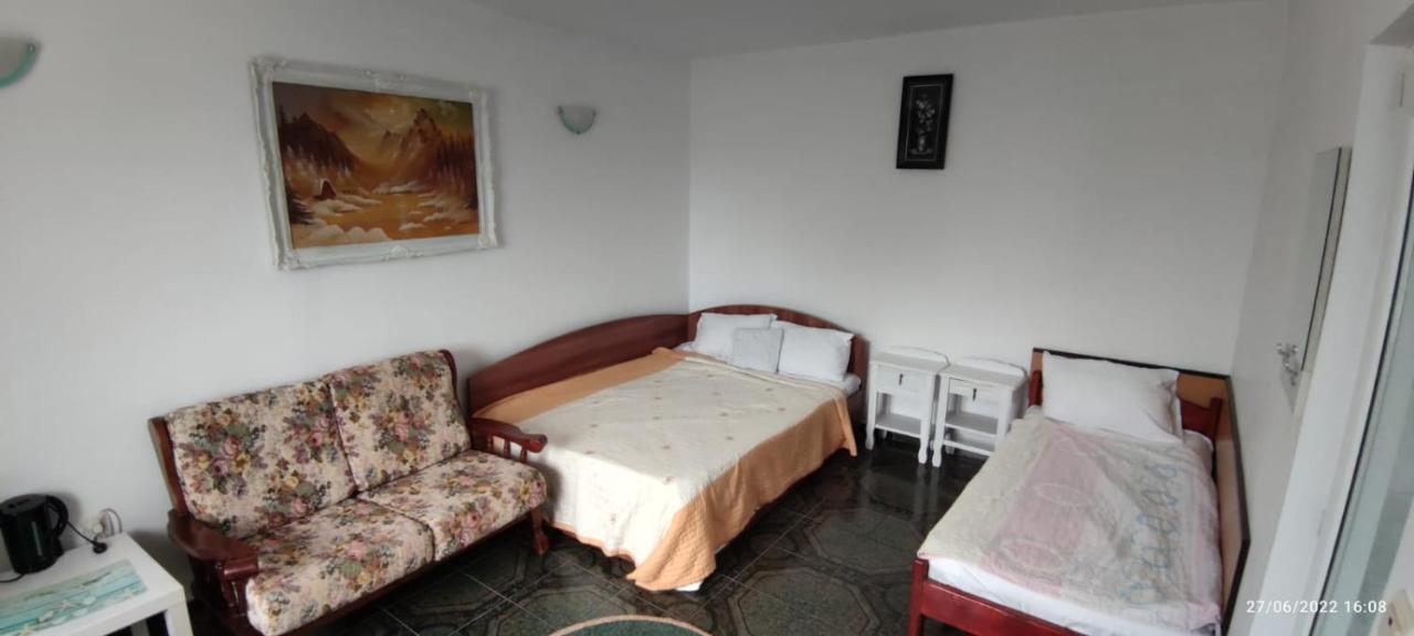 Vila Traian Si Teodora Костинешти Экстерьер фото
