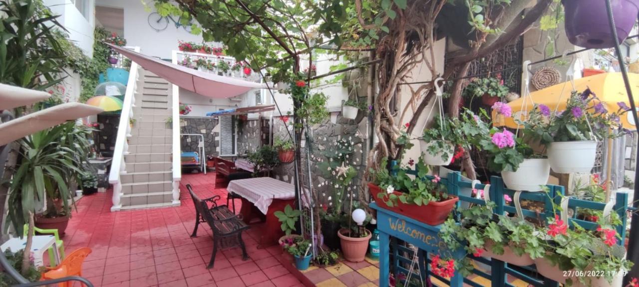 Vila Traian Si Teodora Костинешти Экстерьер фото