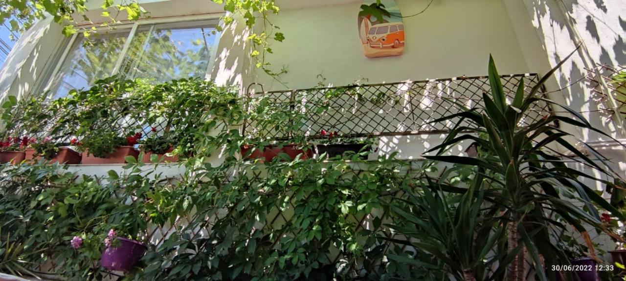 Vila Traian Si Teodora Костинешти Экстерьер фото